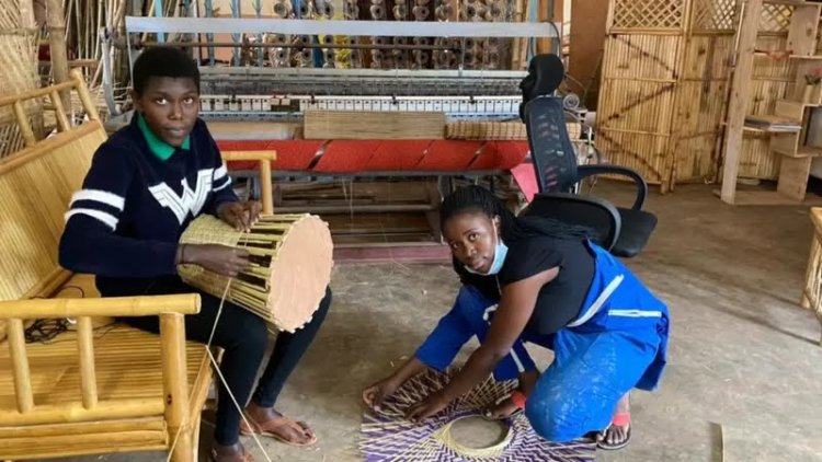 Kigali: Bamboo furniture making transforms young women from unemployed to entrepreneurs